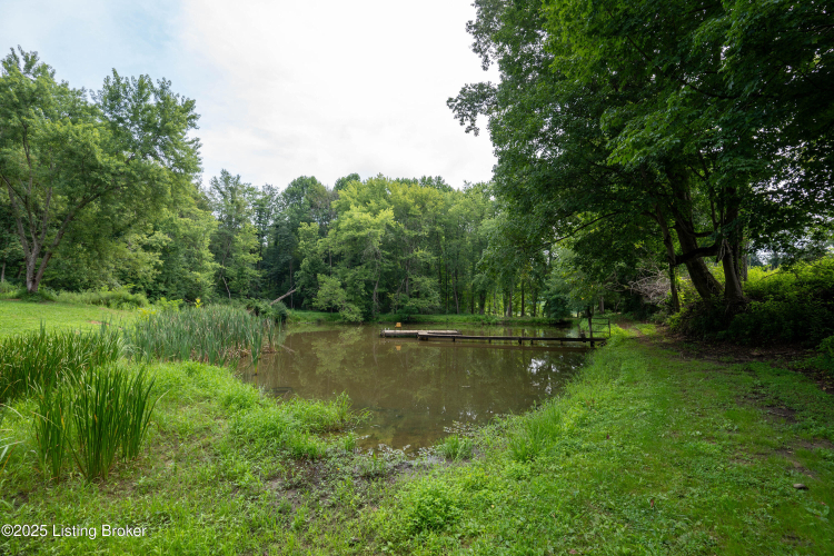 Listing Image 24