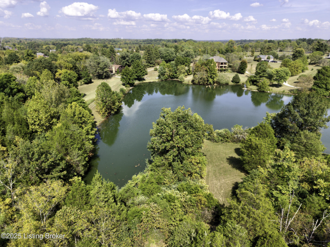Listing Image 51