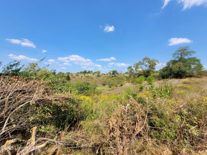 Listing Image 76