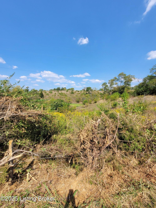 Listing Image 77