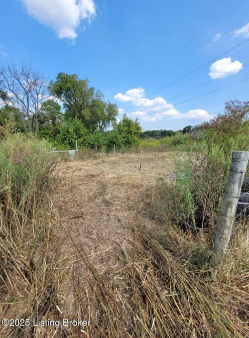 Listing Image 85