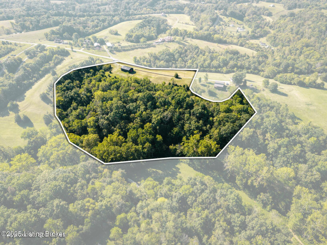 Listing Image 9