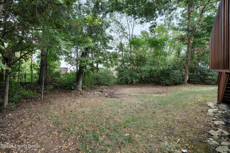 Listing Image 64