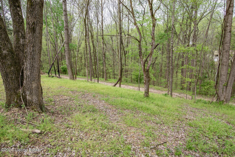 Listing Image 45