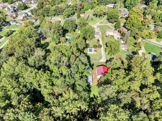 Listing Image 62