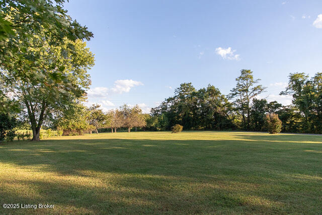 Listing Image 37
