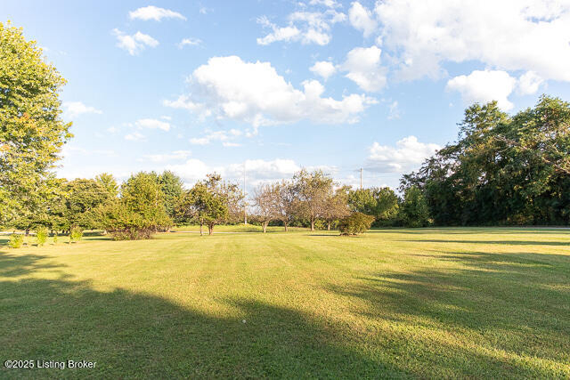 Listing Image 39