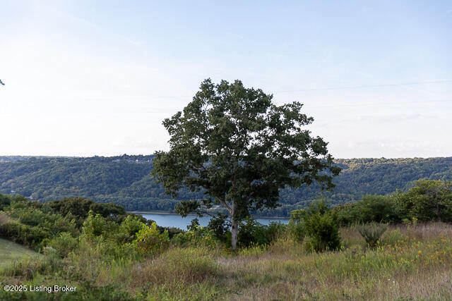 Listing Image 51
