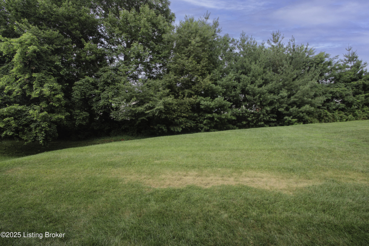 Listing Image 36