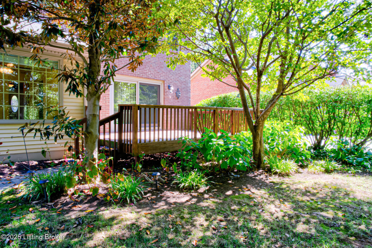 Listing Image 49