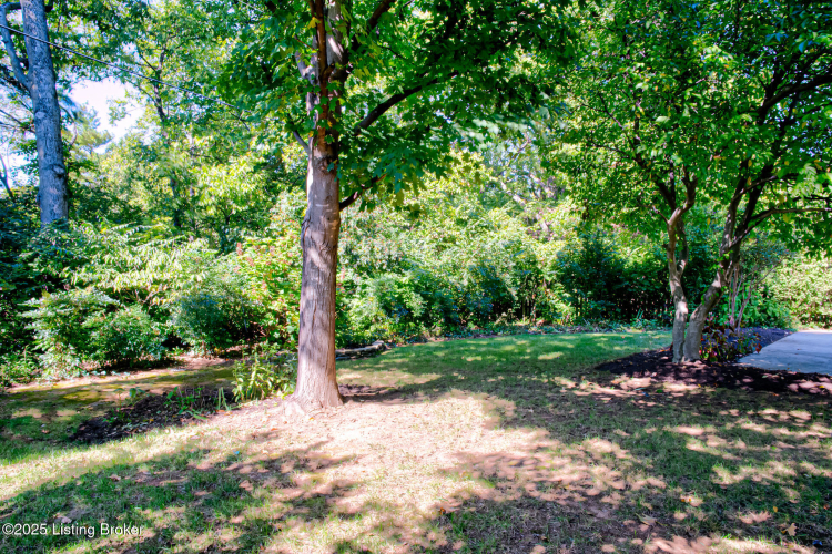 Listing Image 50