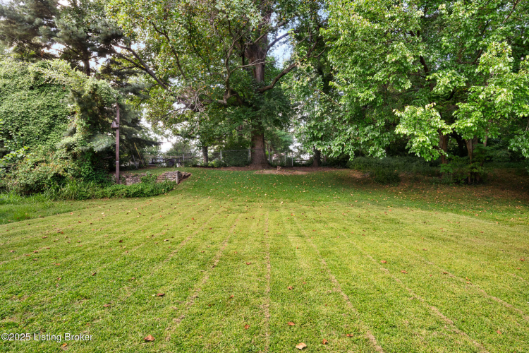 Listing Image 34