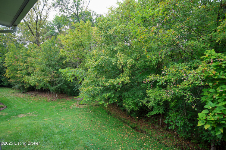 Listing Image 37
