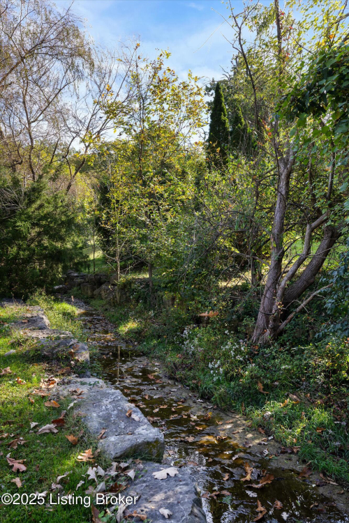 Listing Image 47