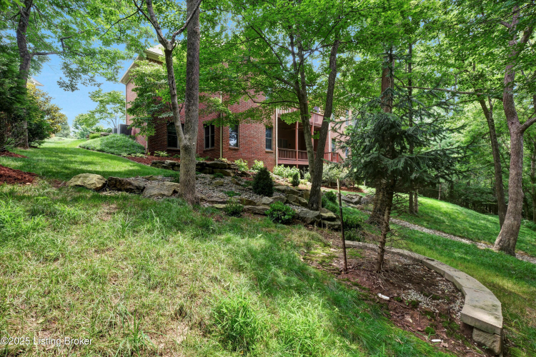 Listing Image 64