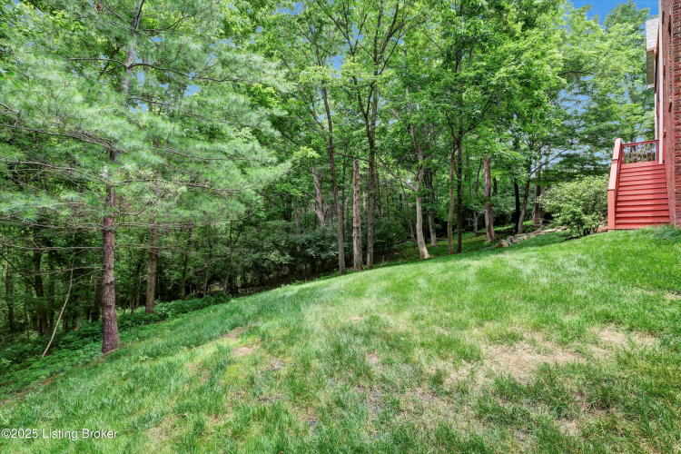 Listing Image 66