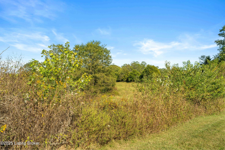 Listing Image 58