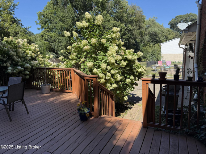Listing Image 50