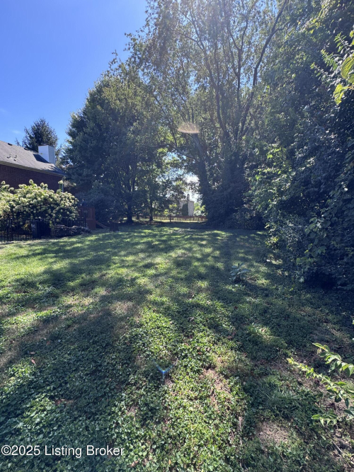 Listing Image 58