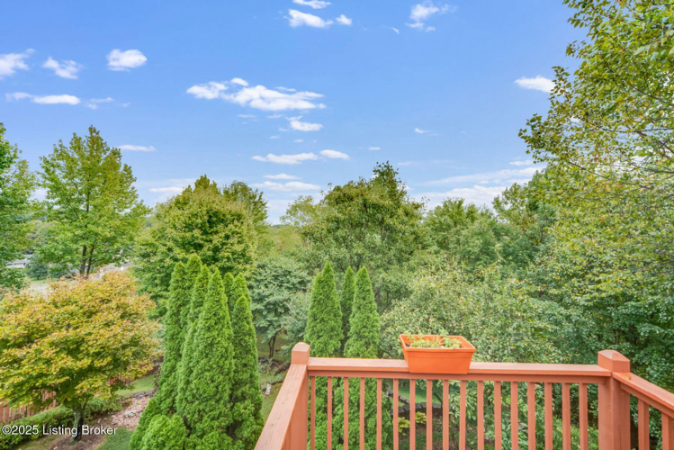 Listing Image 55