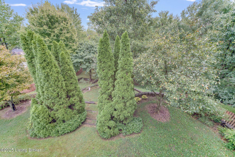 Listing Image 56