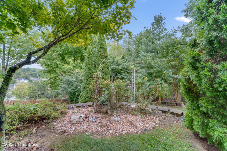 Listing Image 64