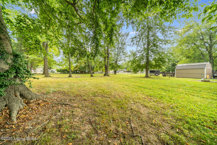 Listing Image 63