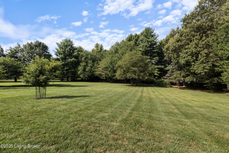 Listing Image 72
