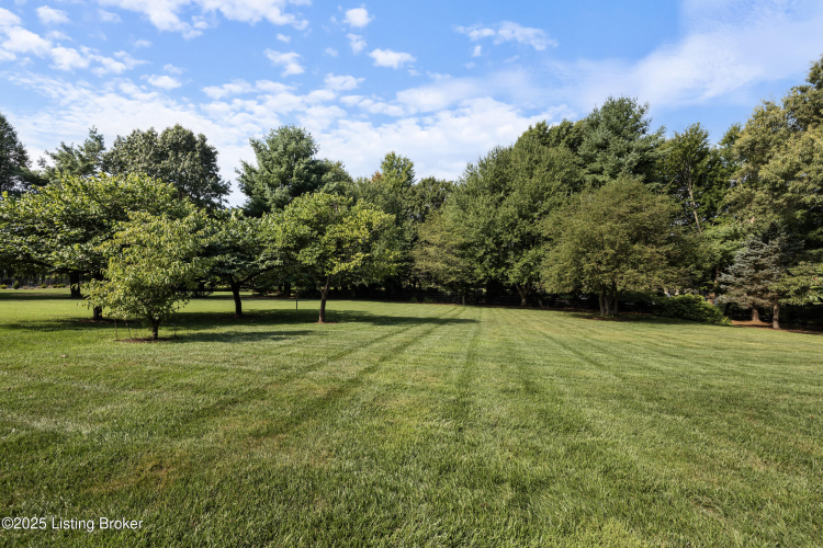 Listing Image 73