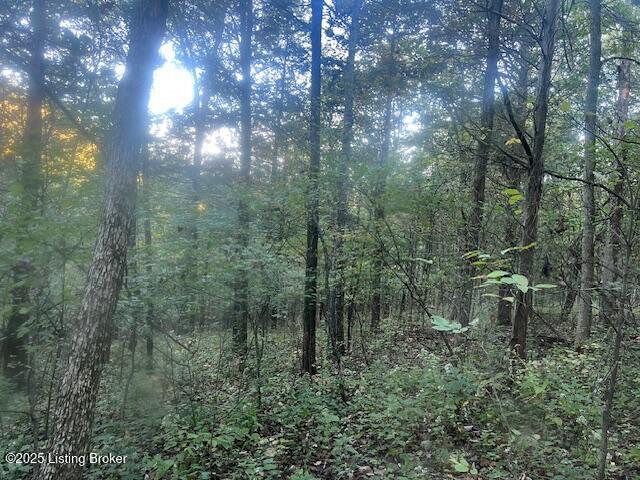 Listing Image 109