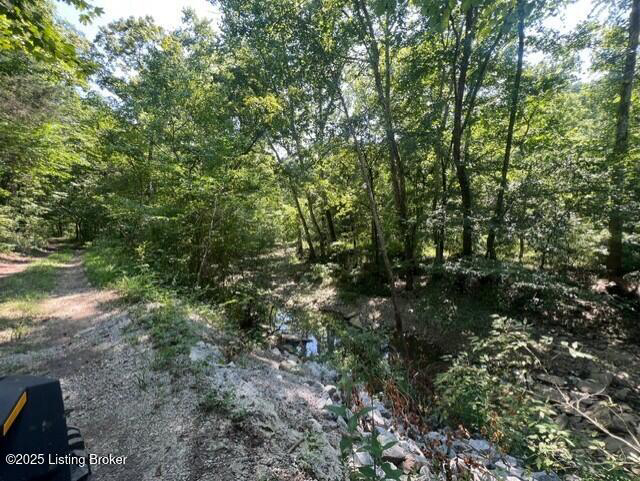 Listing Image 96