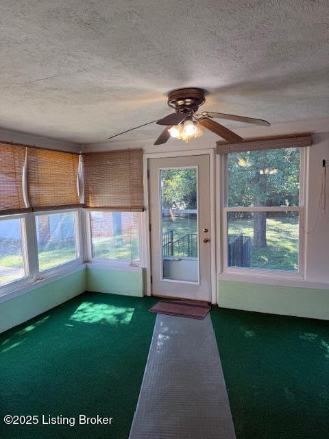Listing Image 50