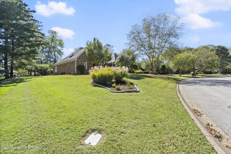 Listing Image 78