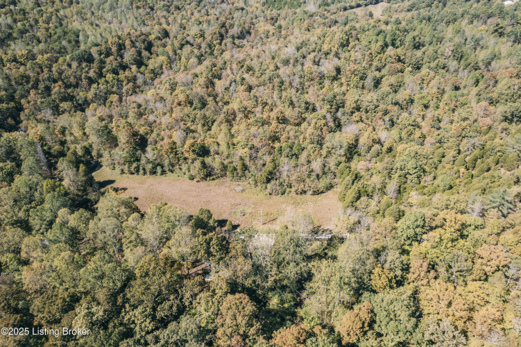 Listing Image 50