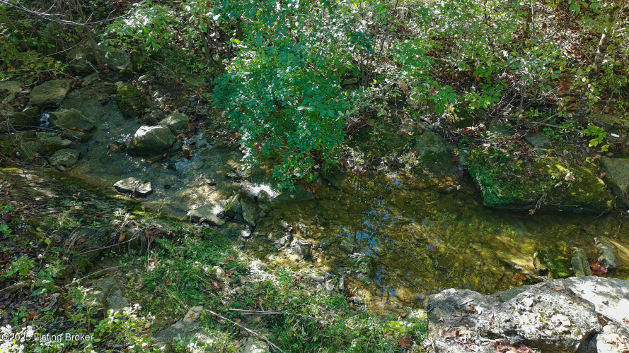 Listing Image 62