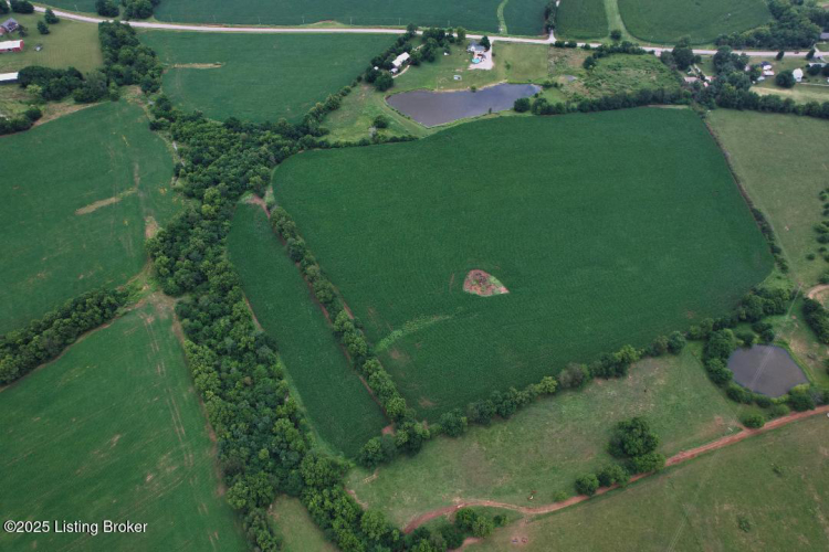 Listing Image 60