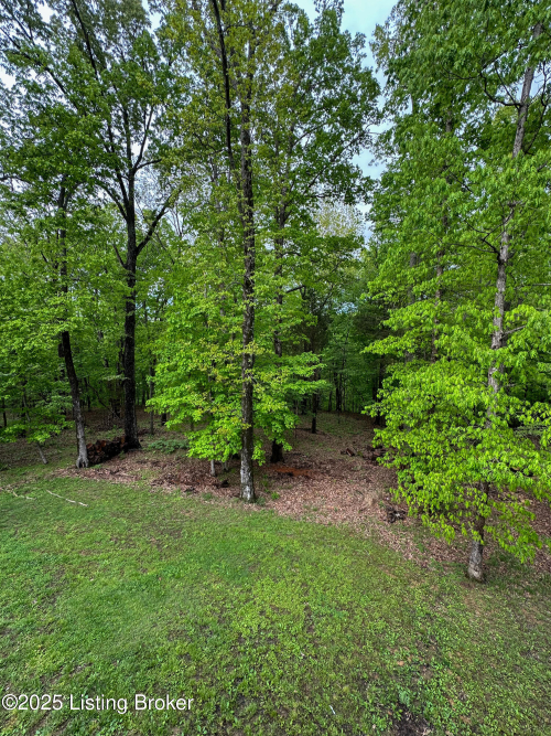 Listing Image 17