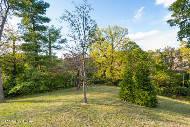 Listing Image 91
