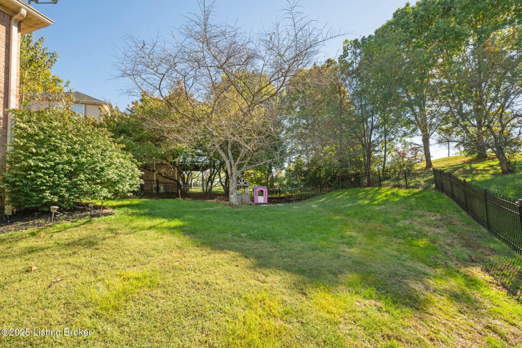 Listing Image 51