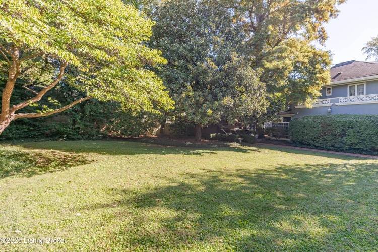 Listing Image 65