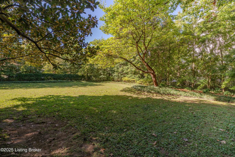 Listing Image 66