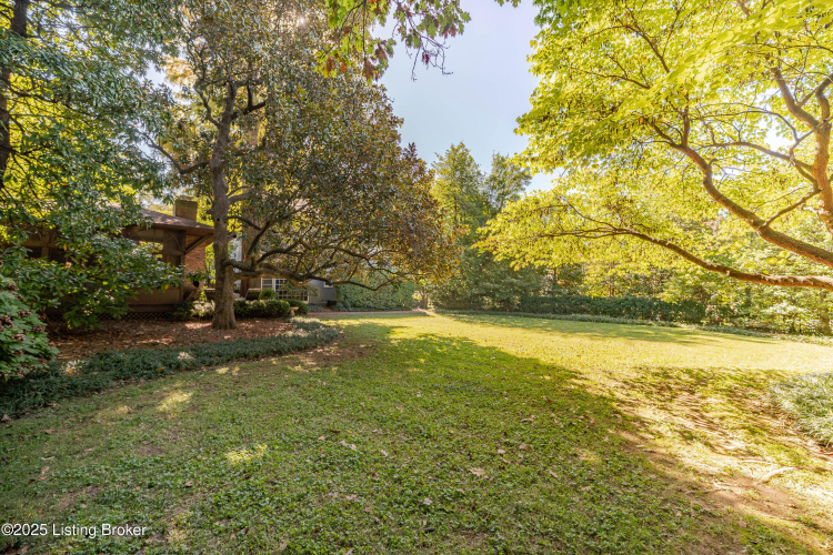 Listing Image 72