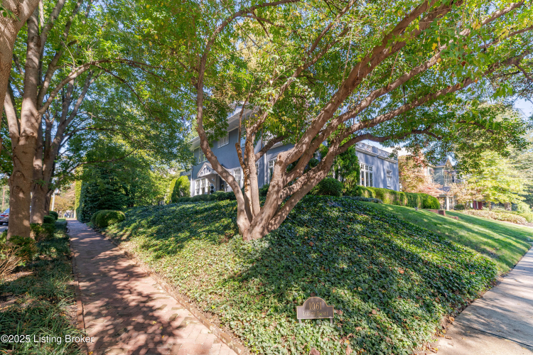 Listing Image 75