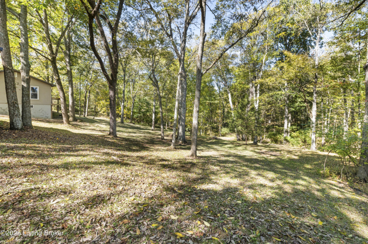 Listing Image 45