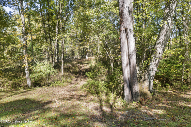 Listing Image 47