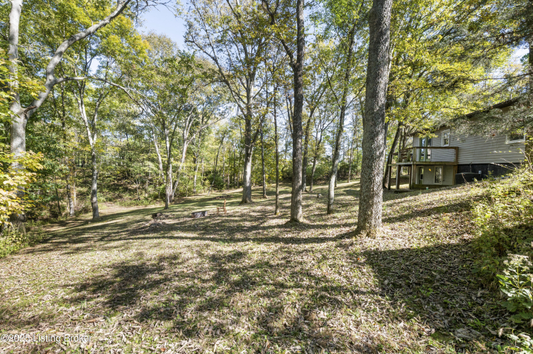 Listing Image 49