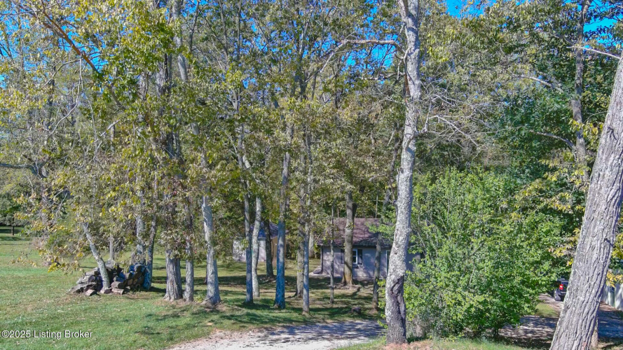 Listing Image 86