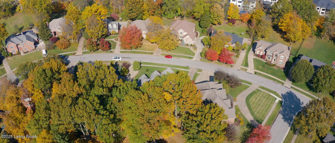 Listing Image 101