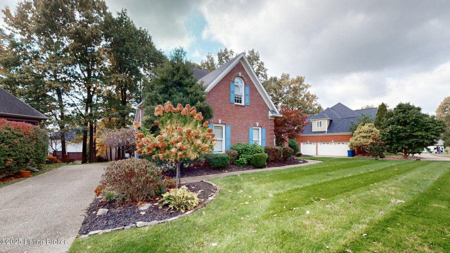 Listing Image 82