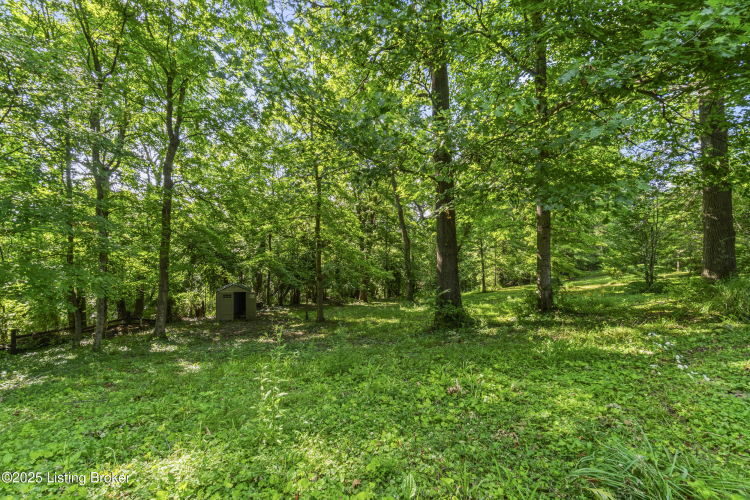 Listing Image 37